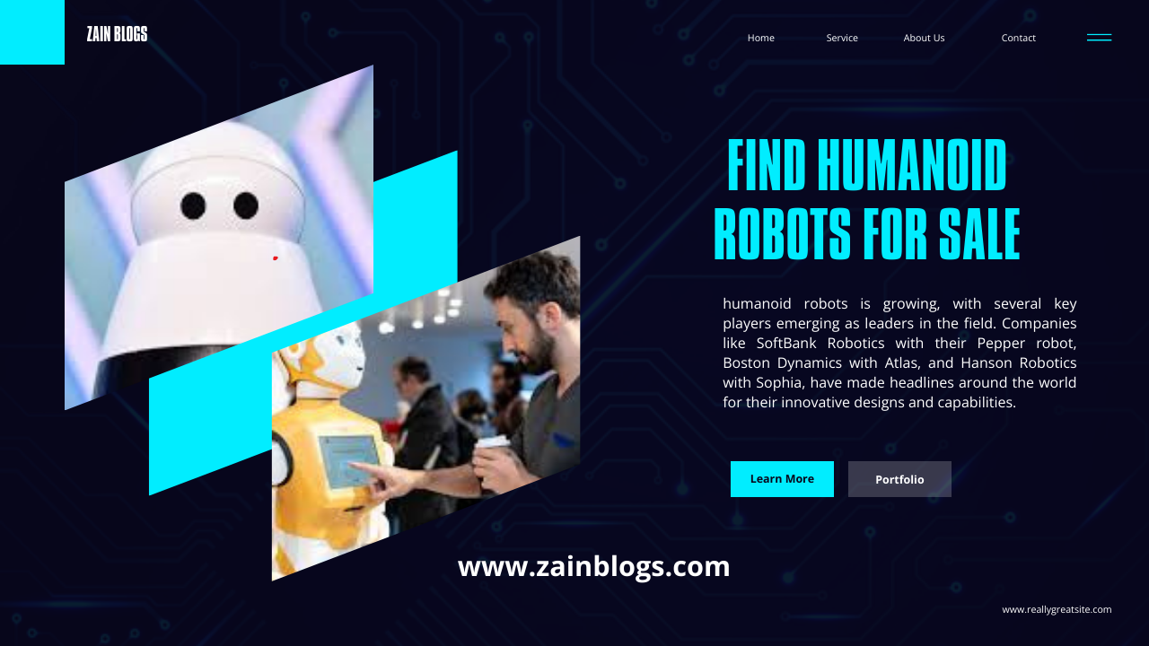 Find Humanoid Robots