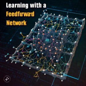 FeedForward neural network