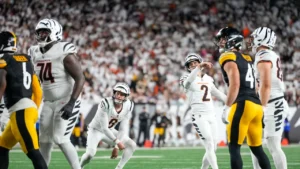 Steelers vs. Bengals